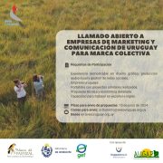 Llamado para la creación de productos de comunicación